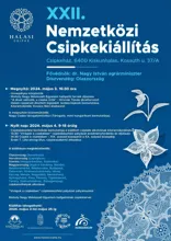 Csipkekészítési pályázat díjazottai 2024