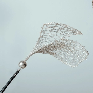 Kettősginkgo hajtű - 4