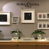 Flora&fauna exhibition 2016.